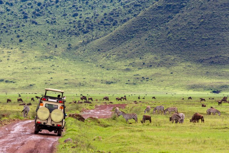 Viaje a medida · Tanzania o Kenia con Seychelles